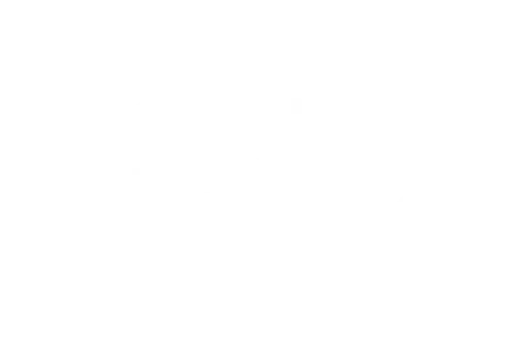 Google Partner