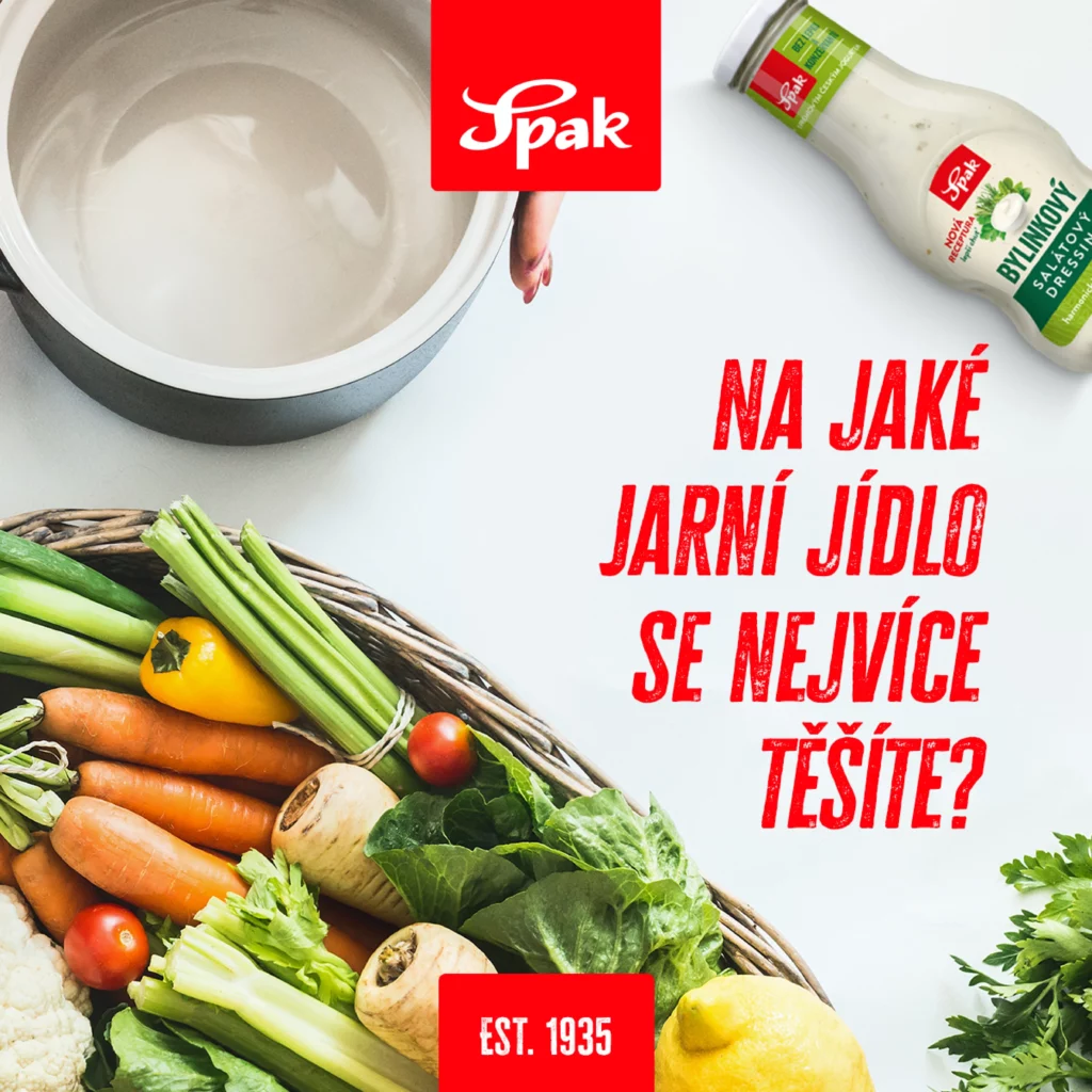 Sociální sítě Spak
