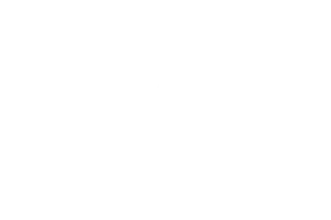 ORLEN SK