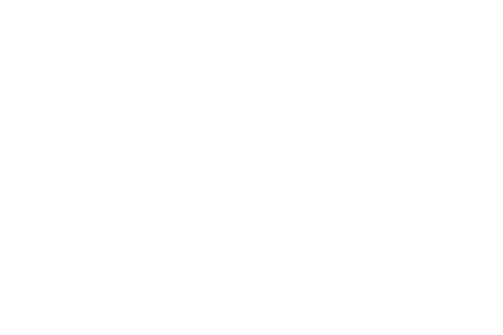 ORLEN SK