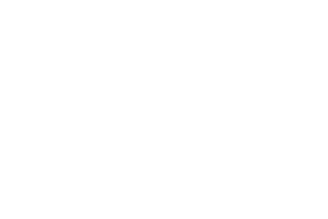 PLG