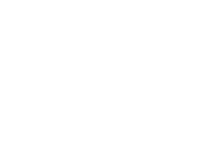 PLG