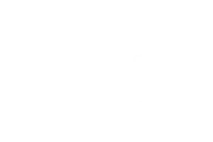 Spak