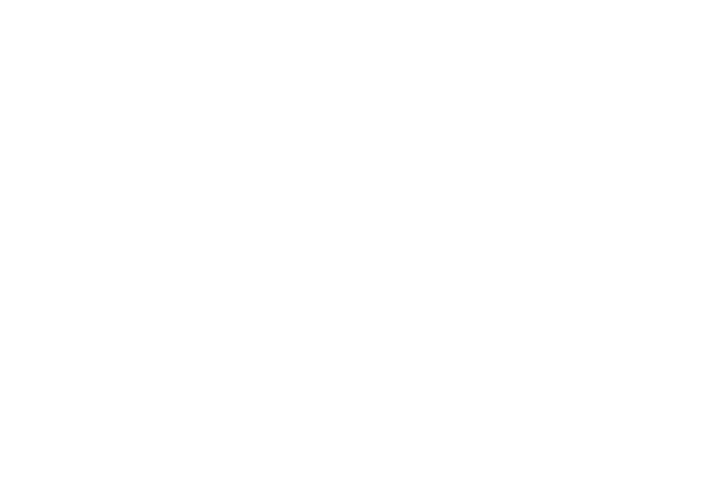 Spak